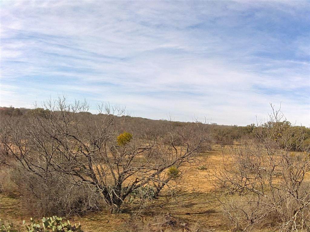 1349 County Road 152 - Photo 1