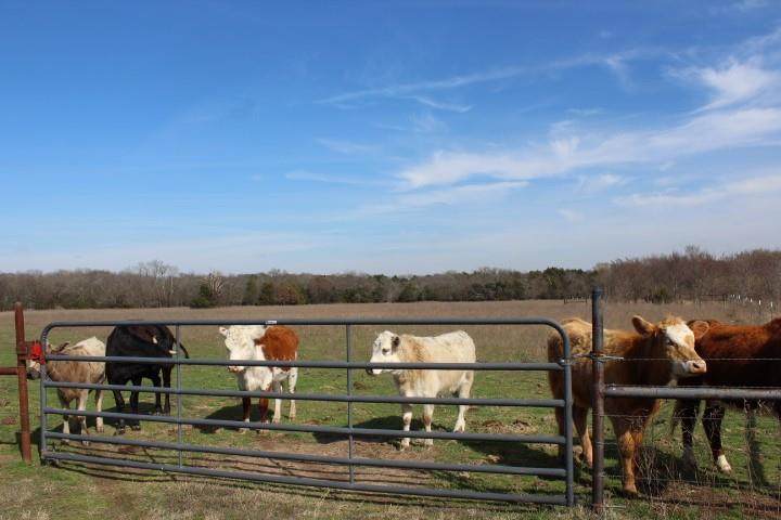 2488 Rs County Road 1525 - Photo 1