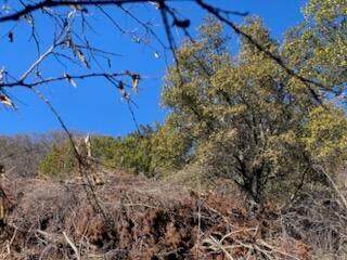 0 Cr 1176 - Photo 1
