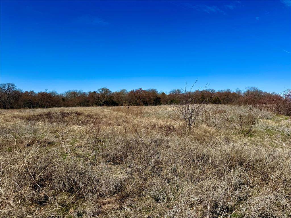 TBD Dixie Road - Photo 1