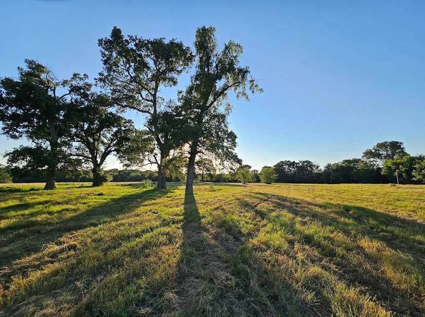 TBD County Road 3512 - Photo 1