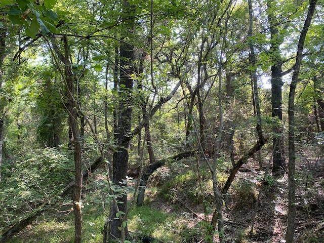 TR 3-B Cr 41514 - Photo 1