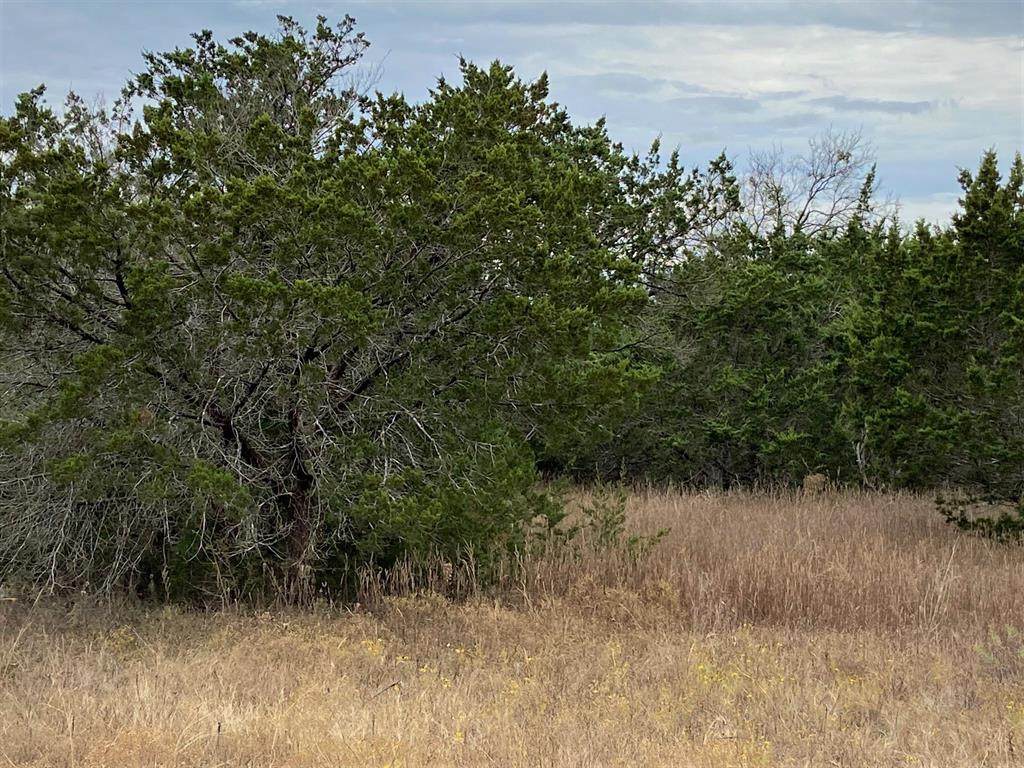36064 Cedar Ridge Drive - Photo 1
