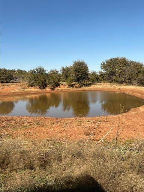782 County Rd 145 - Photo 1