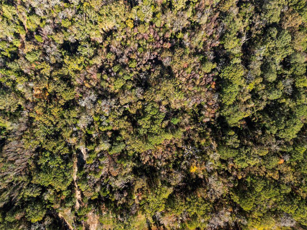 TBD Vz County Road 4815 - Photo 1