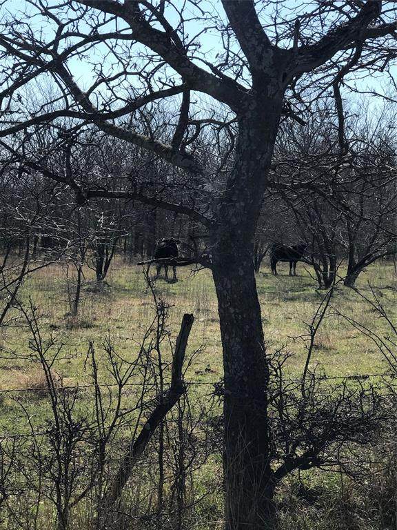 TBD 13.846 Acres Winn Road - Photo 1