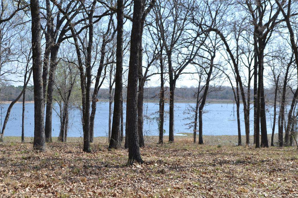 Lot 13 Angler Shores Drive - Photo 1