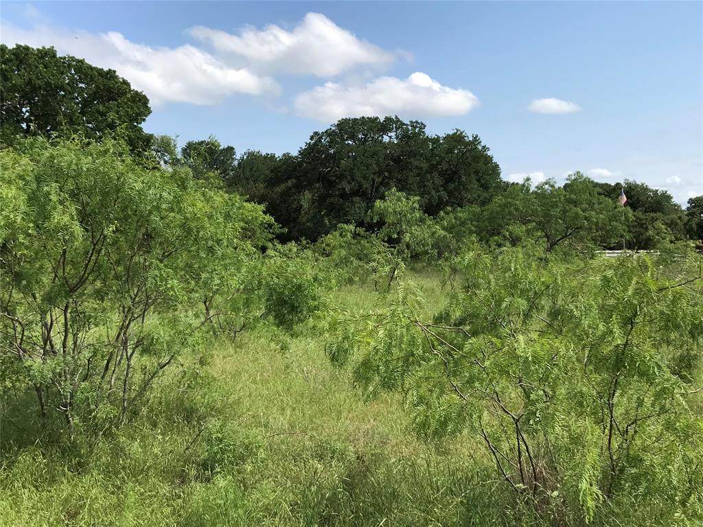 17061 Trailwood Drive - Photo 1
