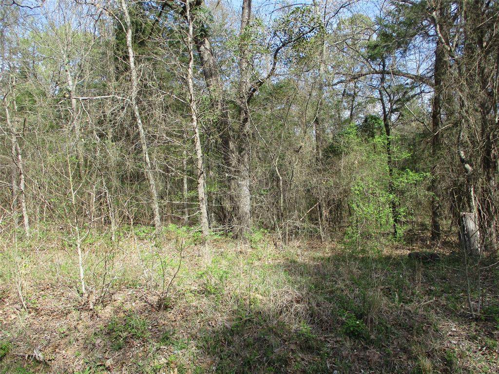 TBD County Road 2958 - Photo 1
