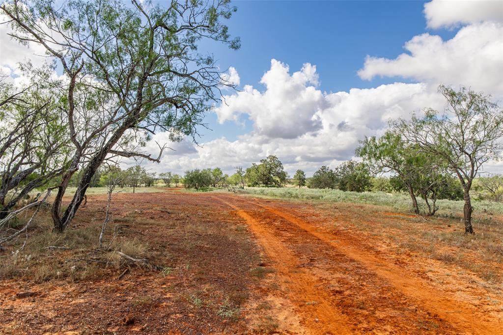 TBD County Road 155 - Photo 1