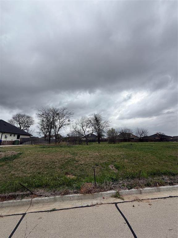 10104 T Bury Lane - Photo 1
