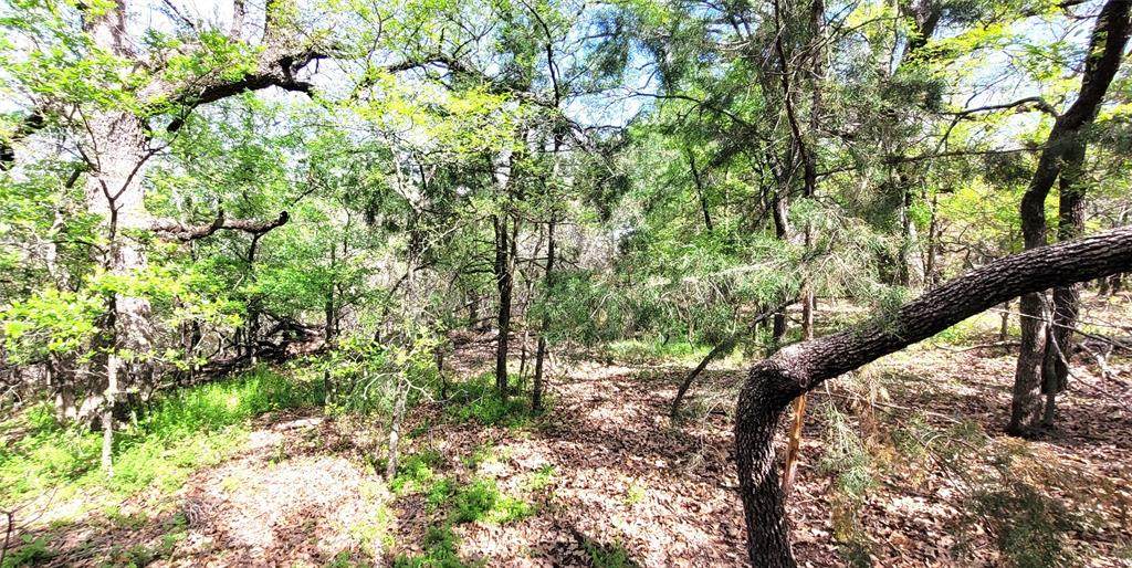 https://bt-photos.global.ssl.fastly.net/ntreis/orig_boomver_2_21199540-2.jpg