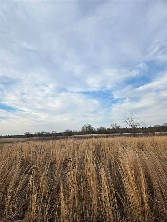 TBD CR 4836 0.50 - Photo 1