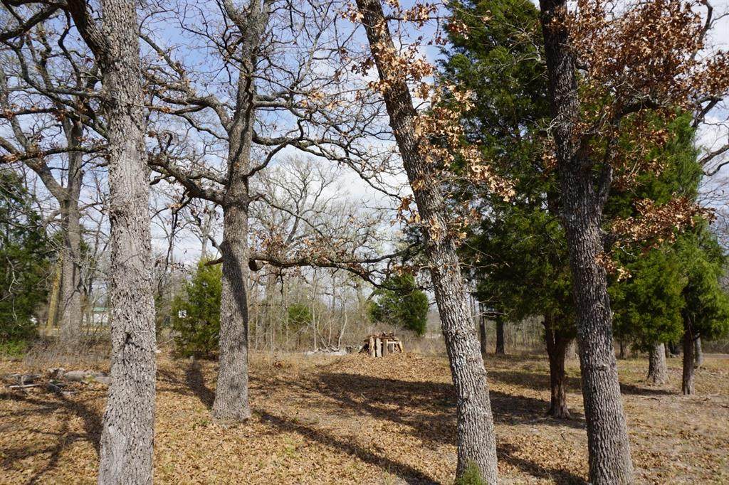 1698 Doc Holiday Dr - Photo 1