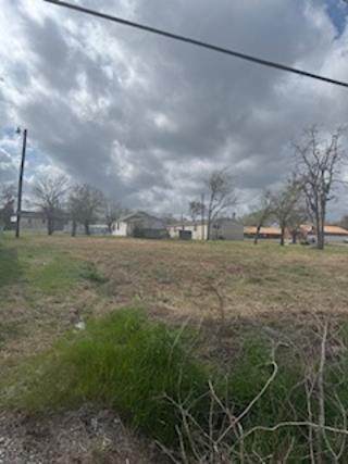 1206 Milam Street - Photo 1