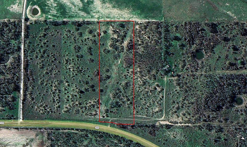 55 Acres Fm 339 - Photo 1