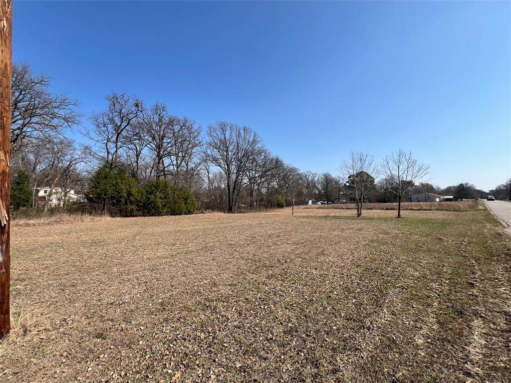47 Kanakoa Drive - Photo 1