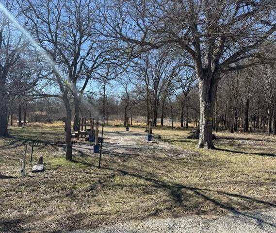 TBD Live Oak Dr Drive - Photo 1