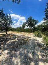 950 Bluff View Drive - Photo 1