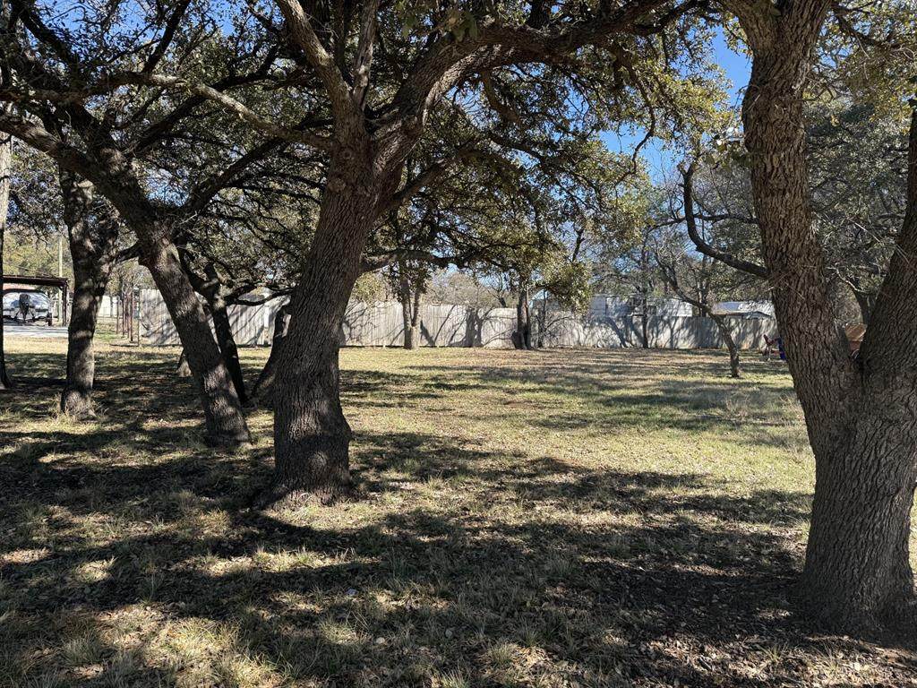 TBD Lot 230 Bounding Main Dr Drive - Photo 1