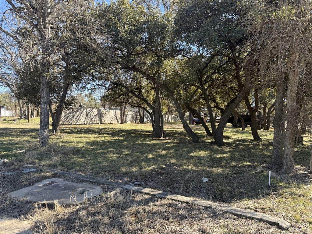 TBD Lot 231 Bounding Main Dr Drive - Photo 1