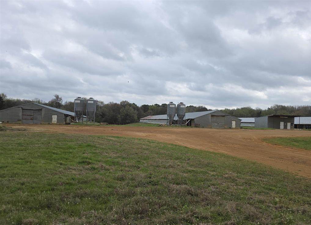 1886 Opossum Rd - Photo 1
