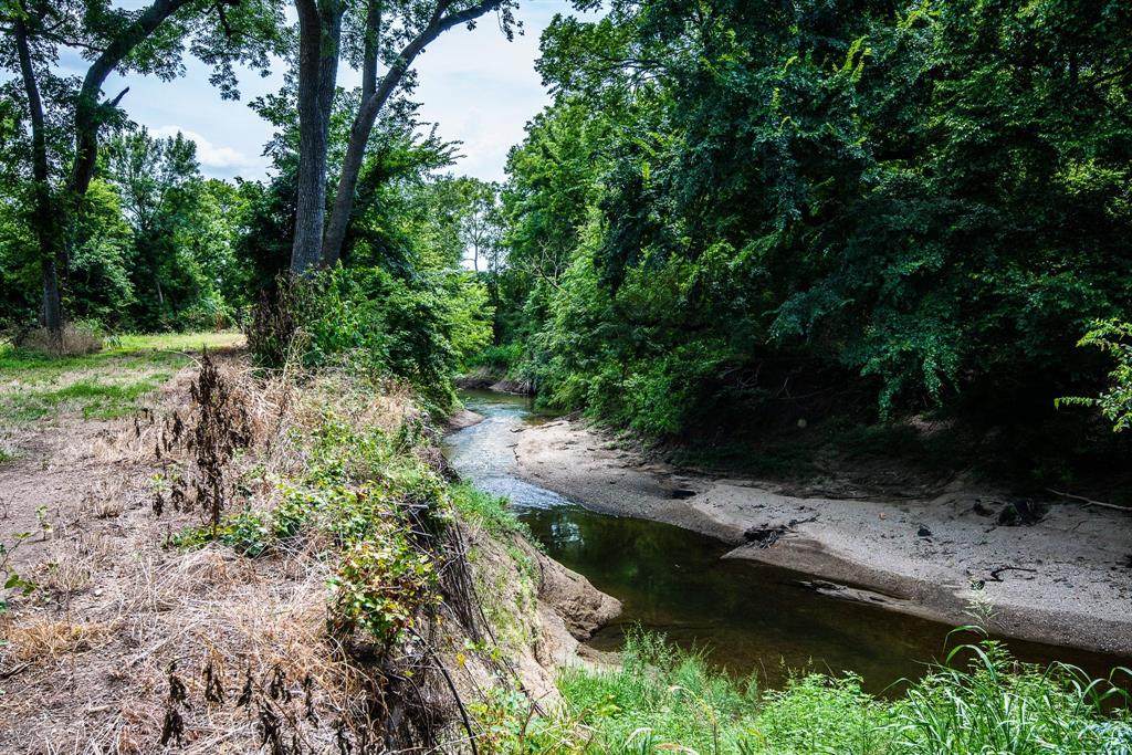 000 Pigg Road - Photo 1