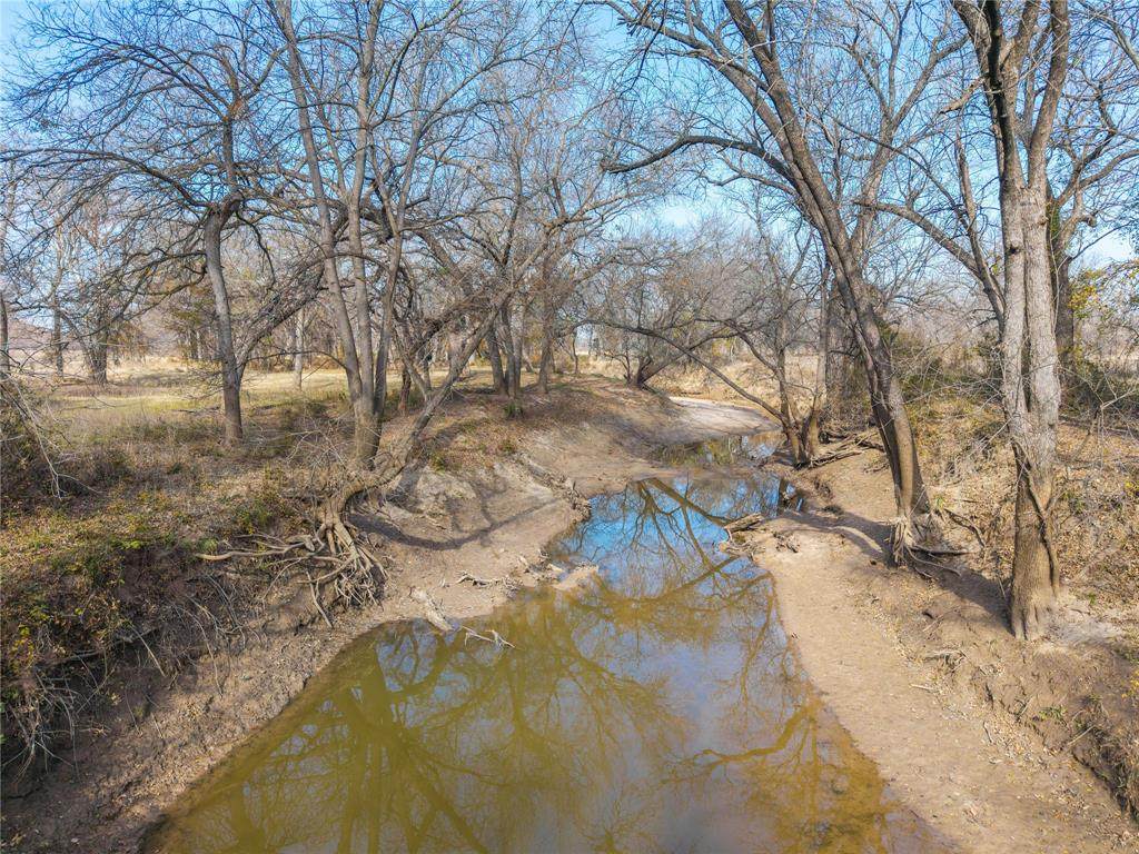60.27 Acres - Leon R County Road 446 - Photo 1