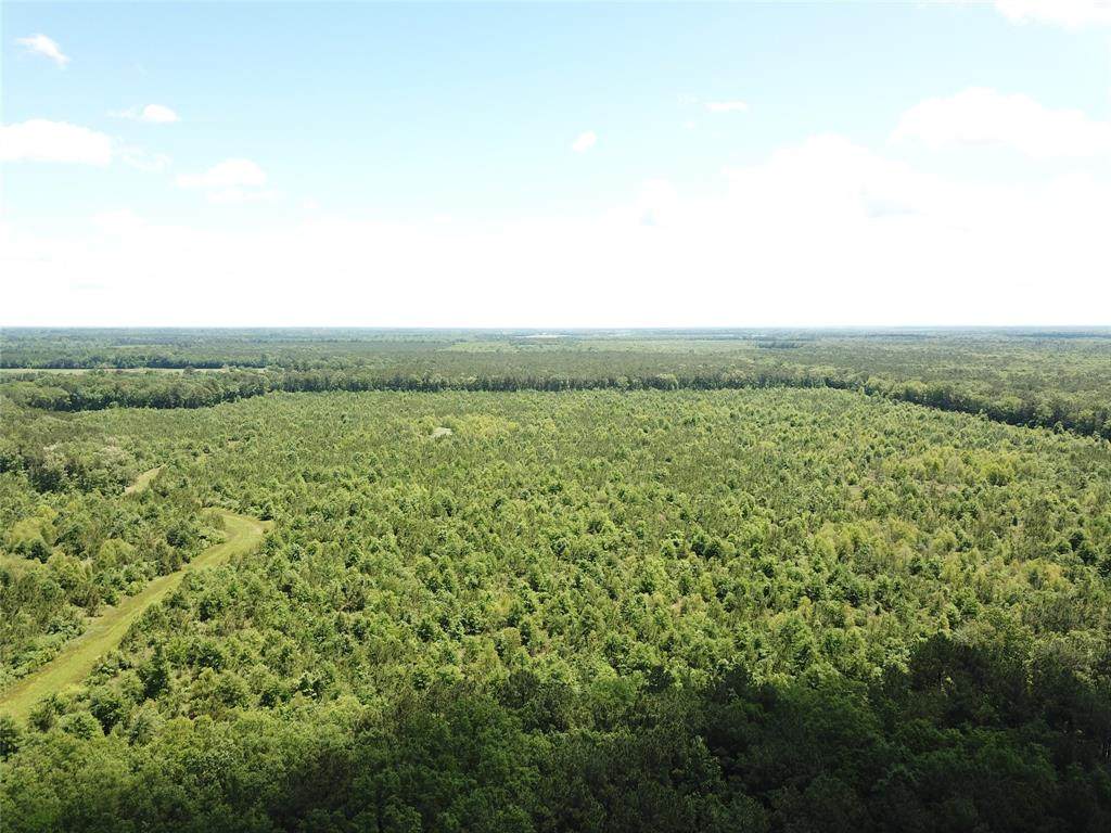 00 County Road 4223 - Photo 1