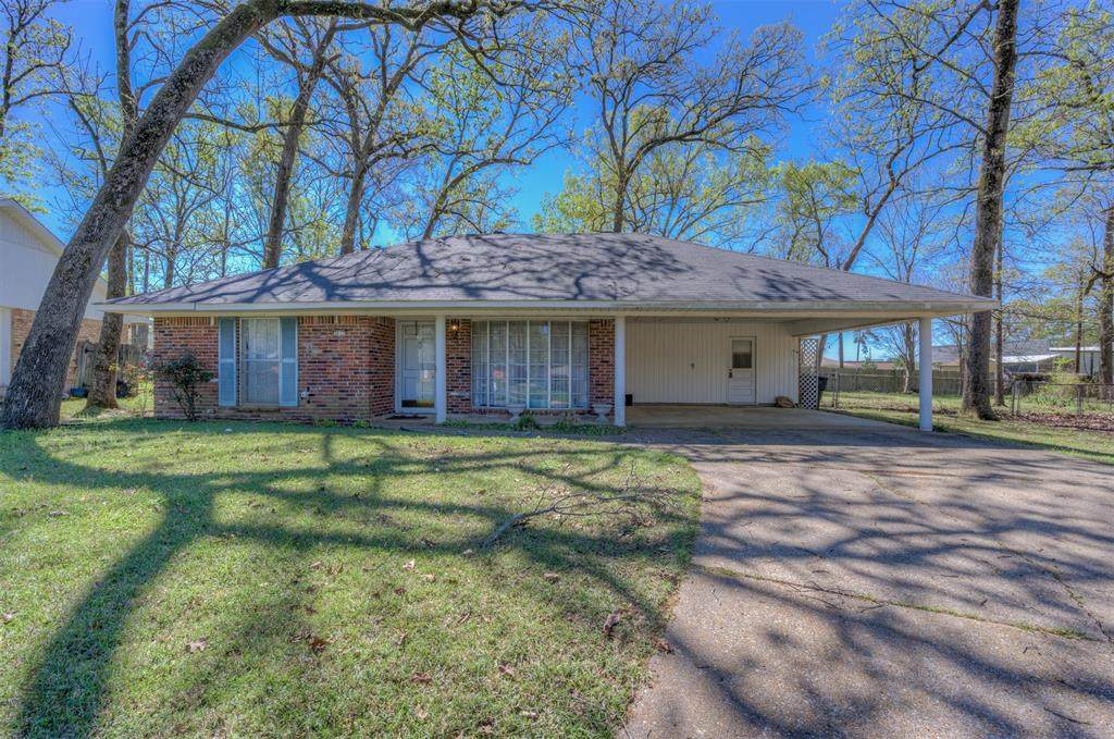 3037 Salem Drive - Photo 1