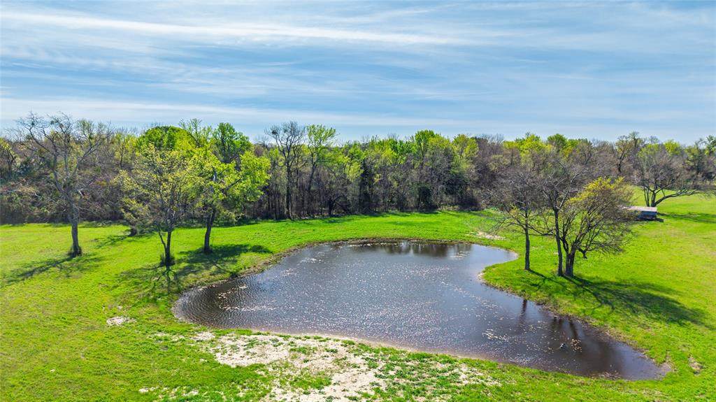 16 Acres Fm 2649 - Photo 1