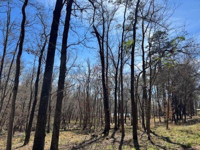 TBD Anderson County Rd. 319 - Photo 1
