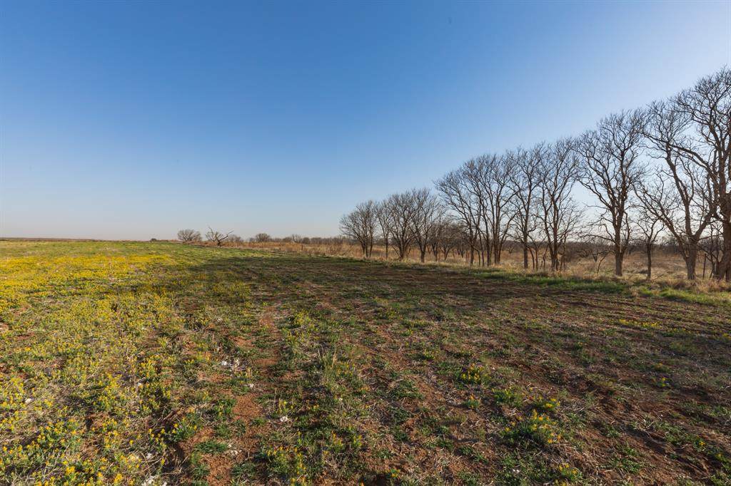 TBD Cr 262 - Photo 1