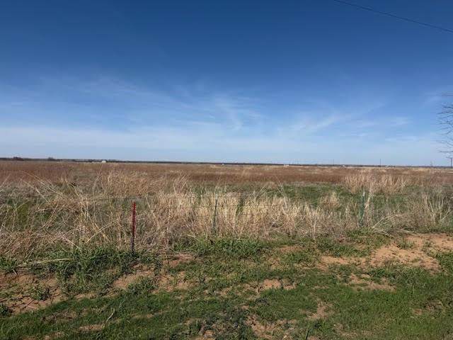 Lot 3 R G Loop Road - Photo 1