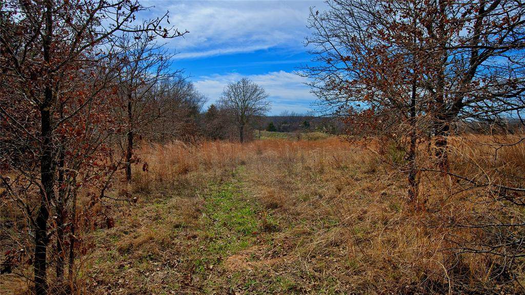 1887 Red Oak Hills Road - Photo 1