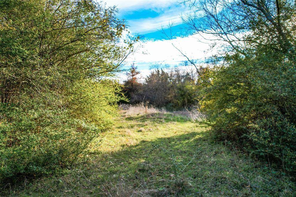 800 Prairie Creek Road - Photo 1