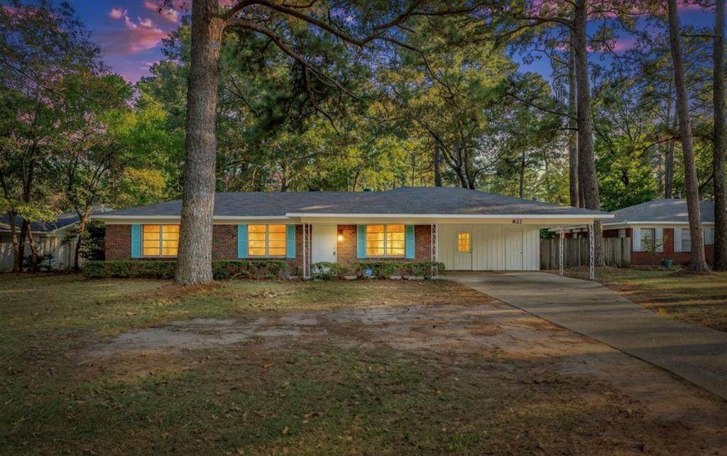 827 Francais Drive - Photo 1