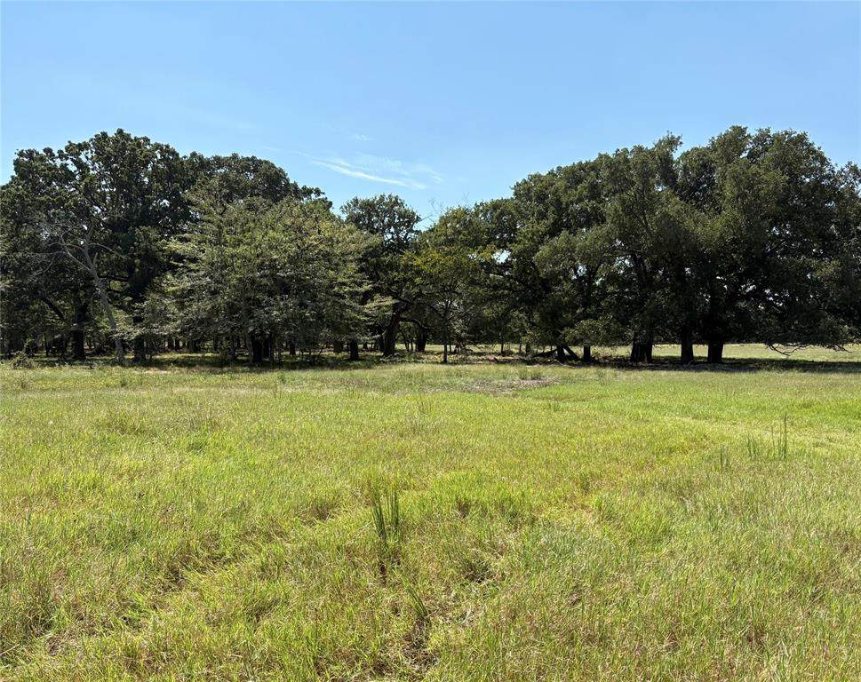 TBD County Road 1168 - Photo 1