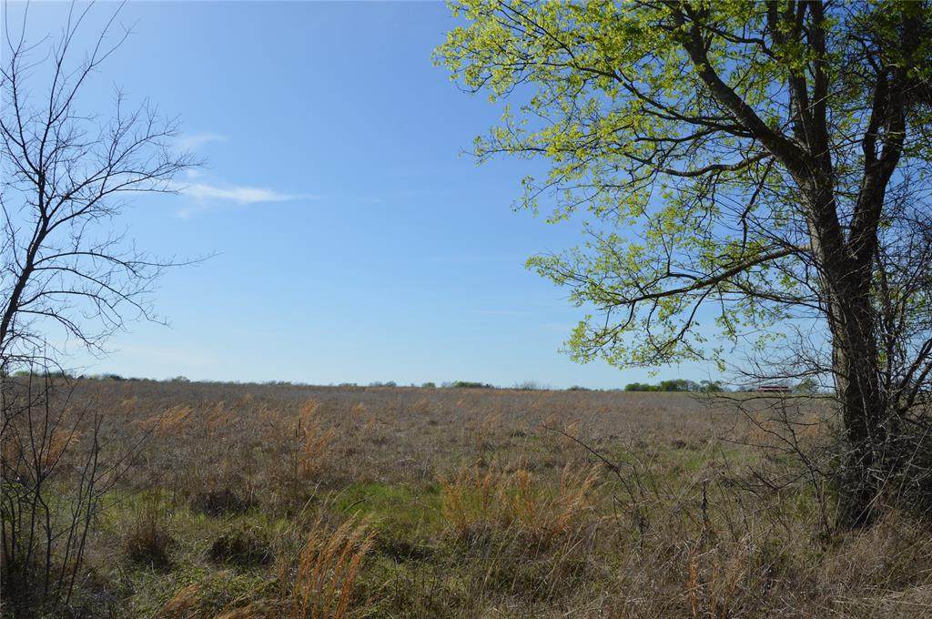 TBD Lot 3 Rs County Road 1520 - Photo 1