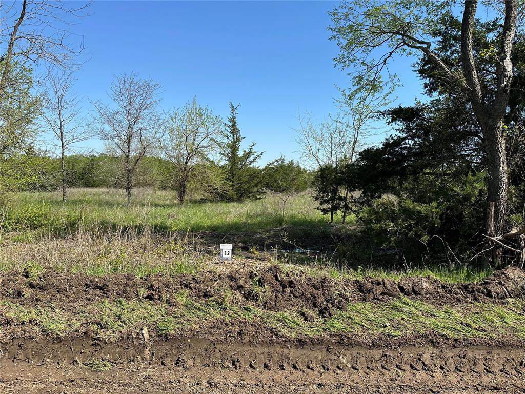 Tract 12 County Road 2951 - Photo 1