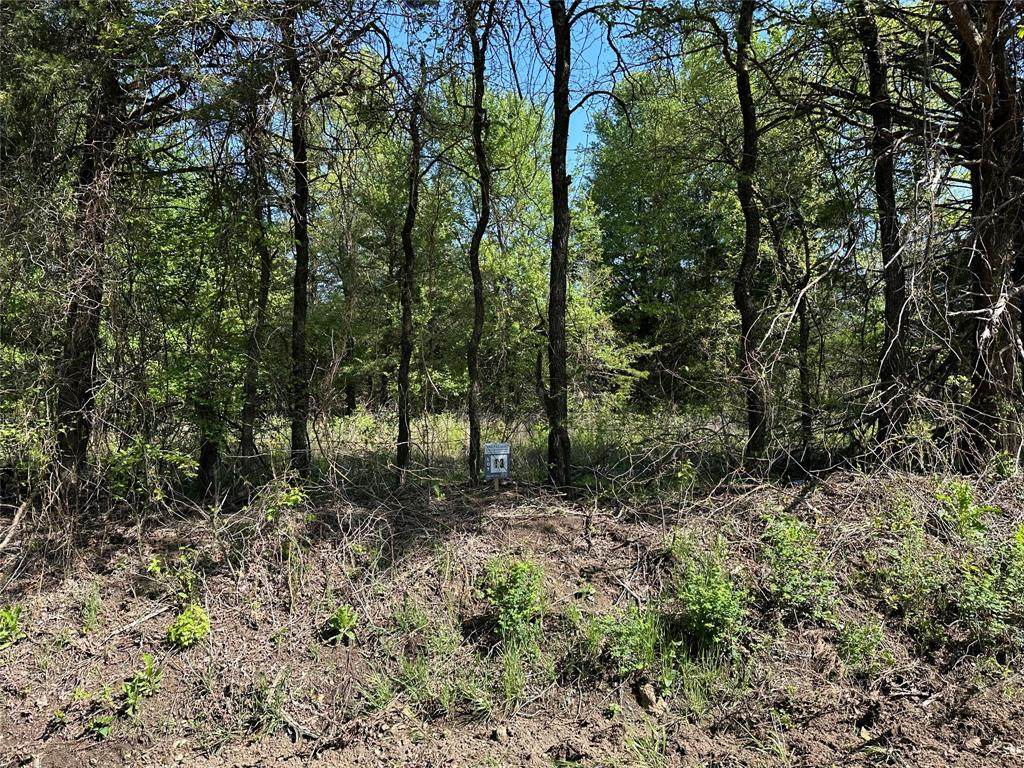 Tract 13 County Road 2951 - Photo 1