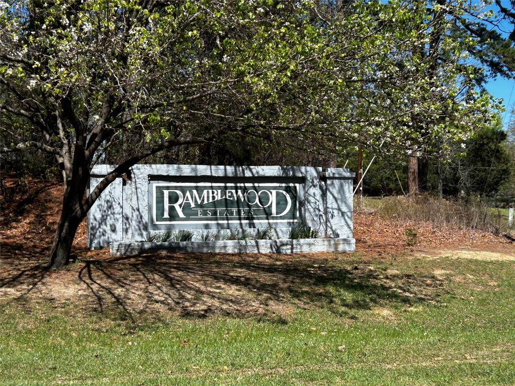 0 Ramblewood Drive - Photo 1