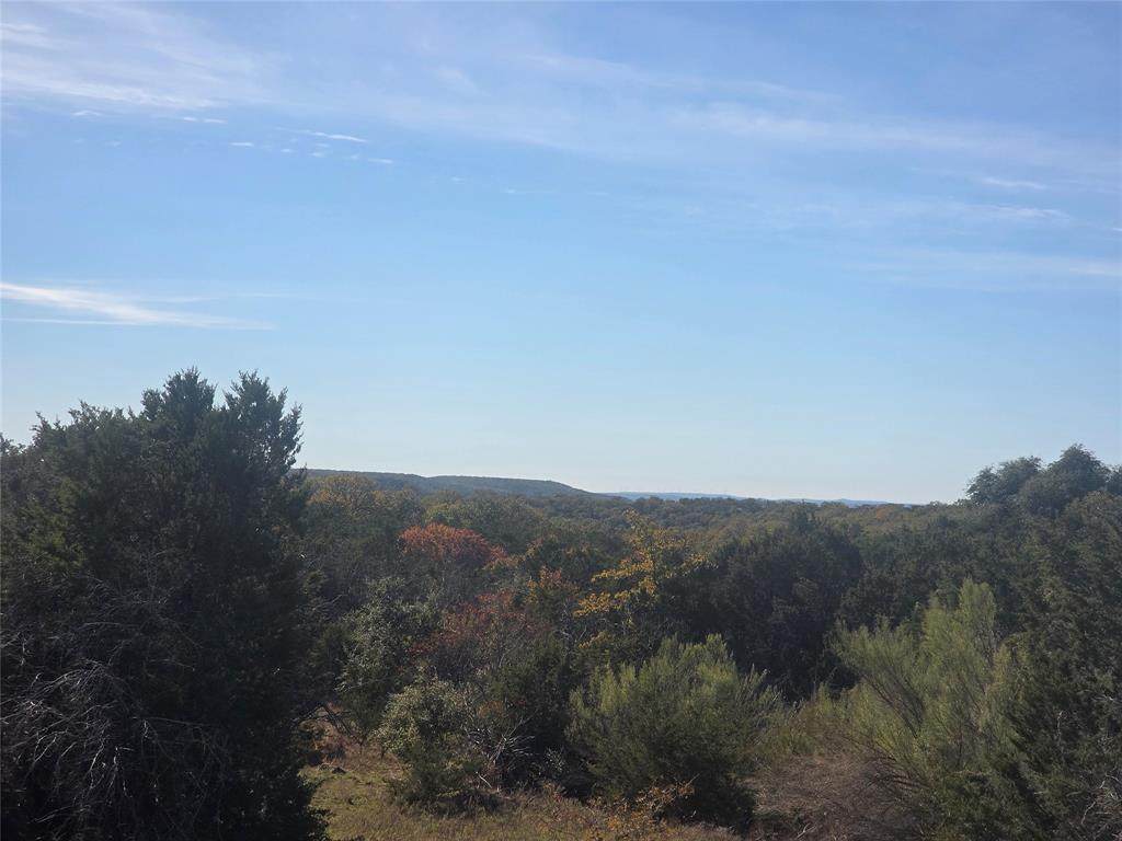 242.442 ACRES Mc Clure Ranch Road - Photo 1