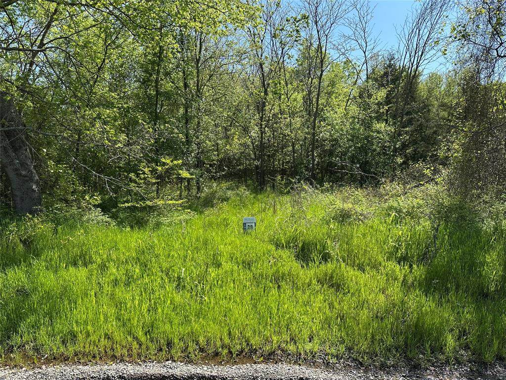 Tract 20 County Road 2960 - Photo 1