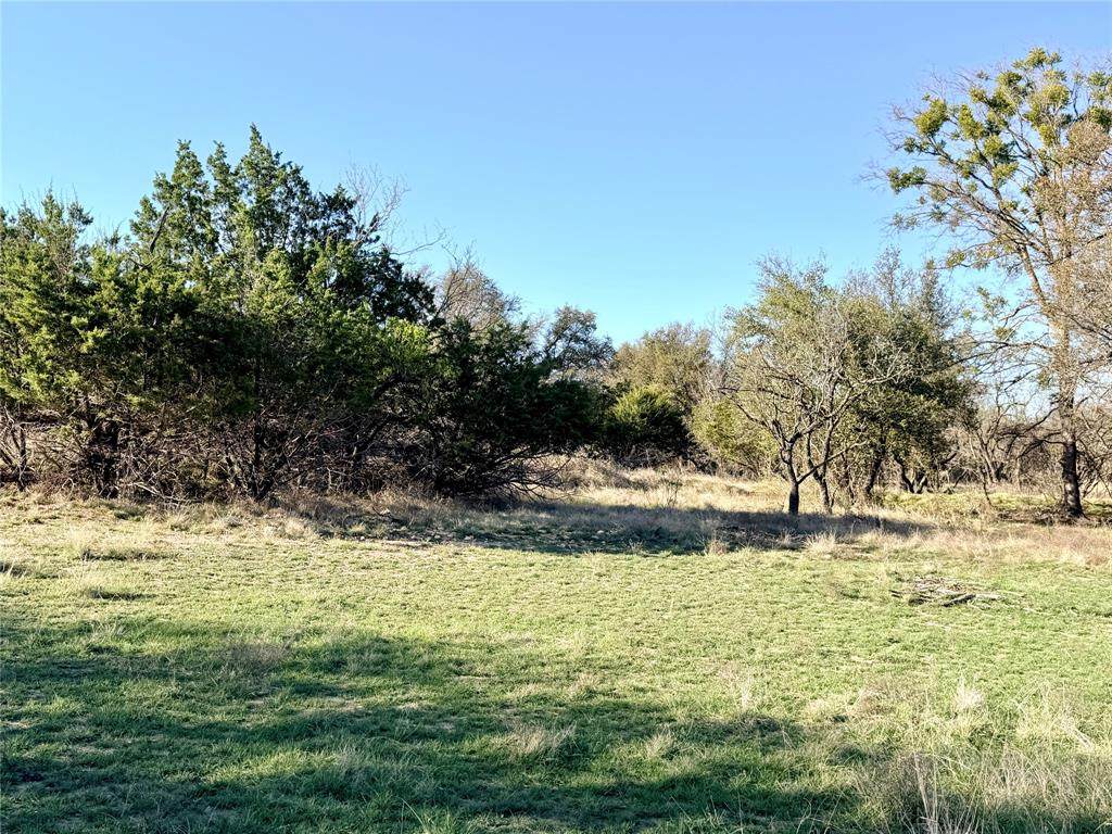 65 County Road 406 - Photo 1