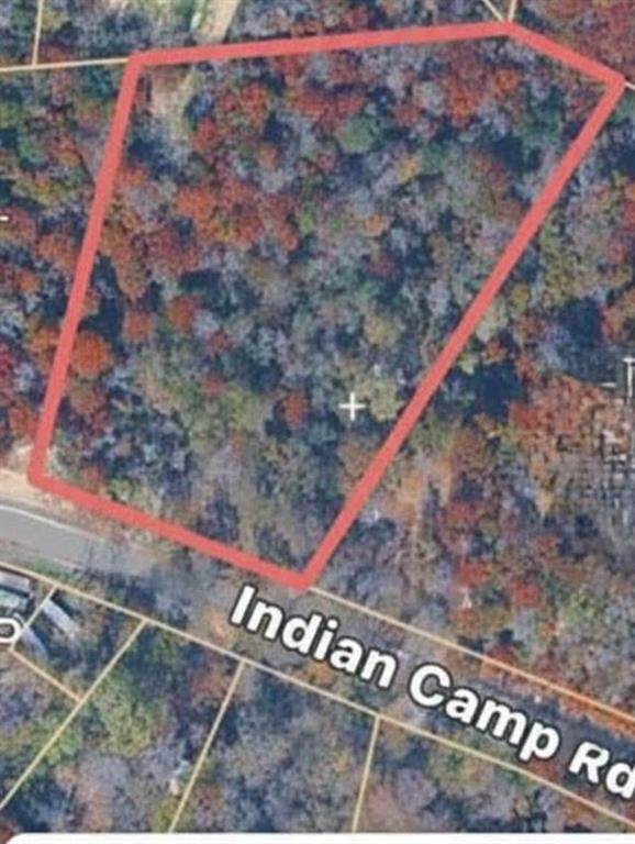 Not assigned Indian Camp Road - Photo 1