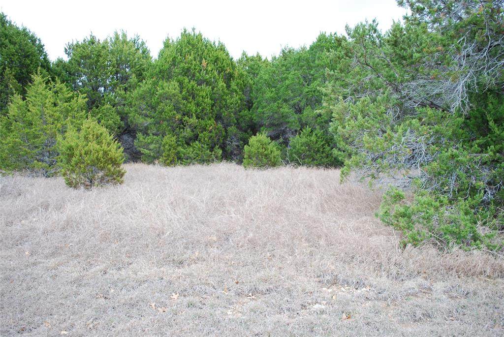 43111 Indian Blanket Drive - Photo 1