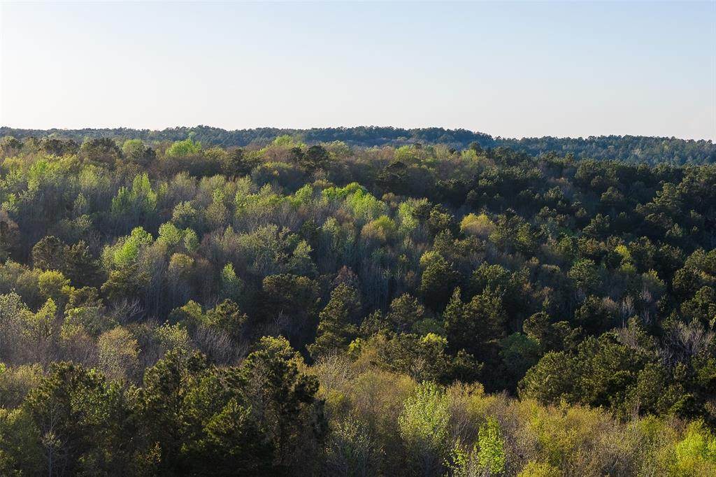 0 Farm To Market Road 747 - Photo 1