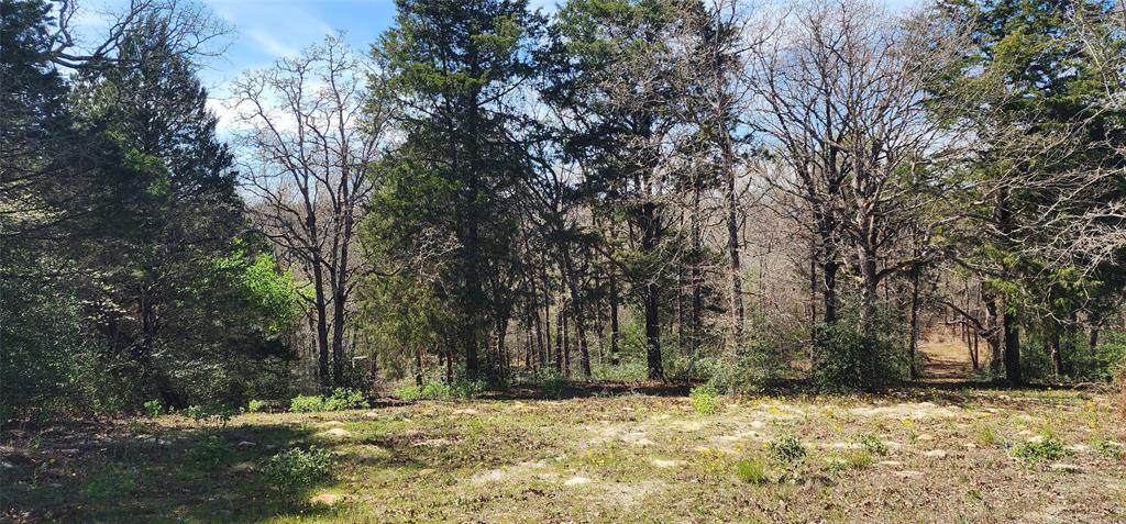 14612 County Road 1114 - Photo 1
