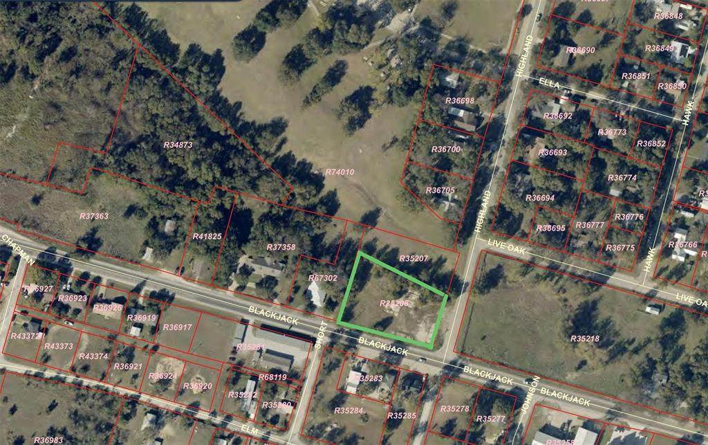 800 Blackjack Street - Photo 1